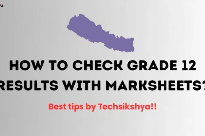 Best ways to check Grade 12 results with marksheets